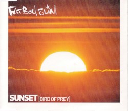 Sunset (Bird of Prey)