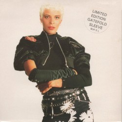 Stand Up for Your Love Rights