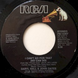 I Can't Go for That (No Can Do)