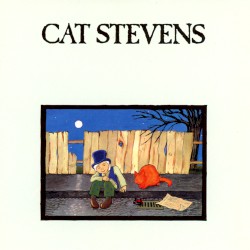 Teaser and the Firecat