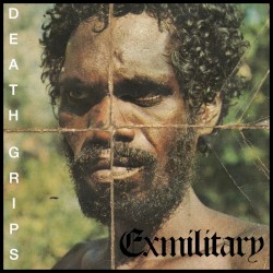 Exmilitary album by Death Grips